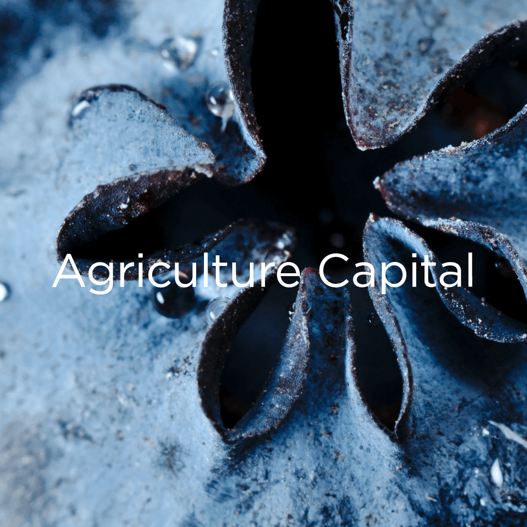 Agriculture Capital