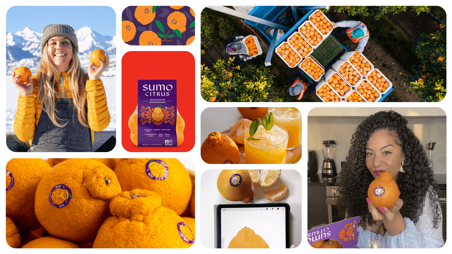 both-and_SumoCitrus-Campaign_01-1_Brand-Imagery