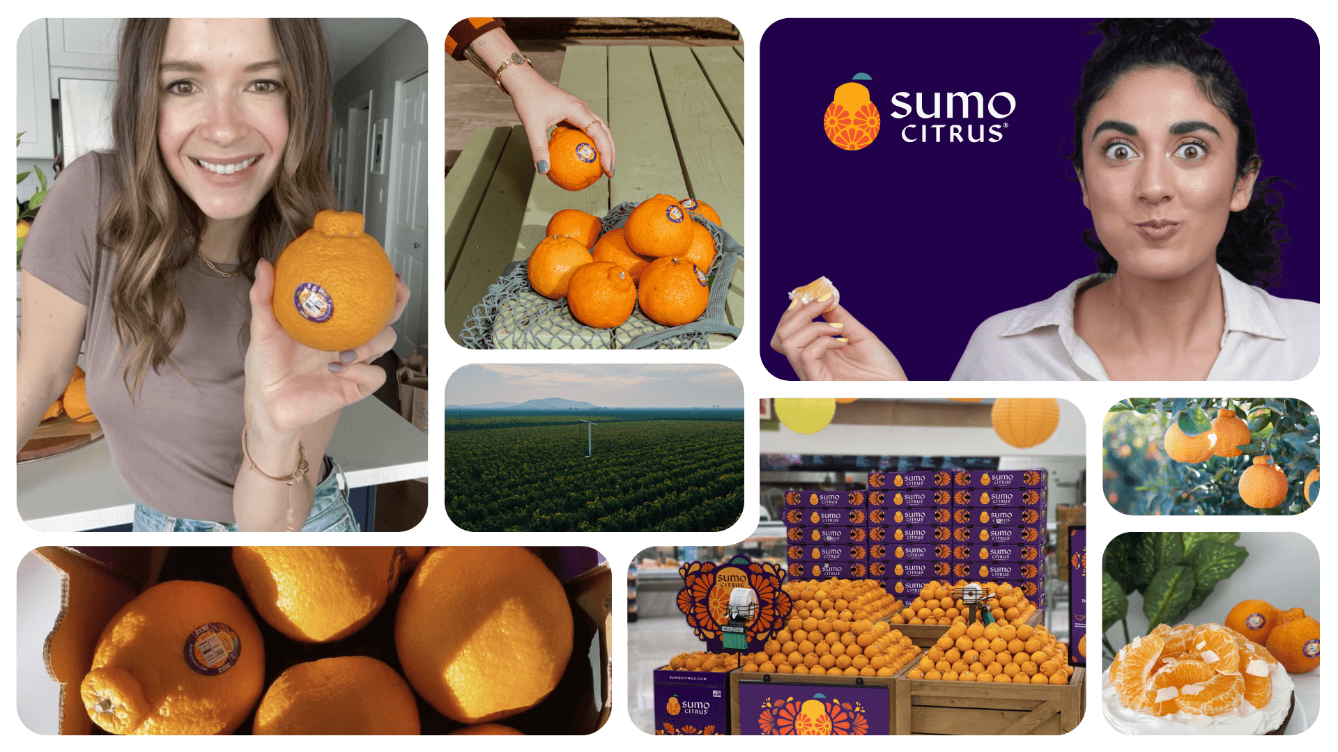 both-and_SumoCitrus-Campaign_01-2_Brand-Imagery